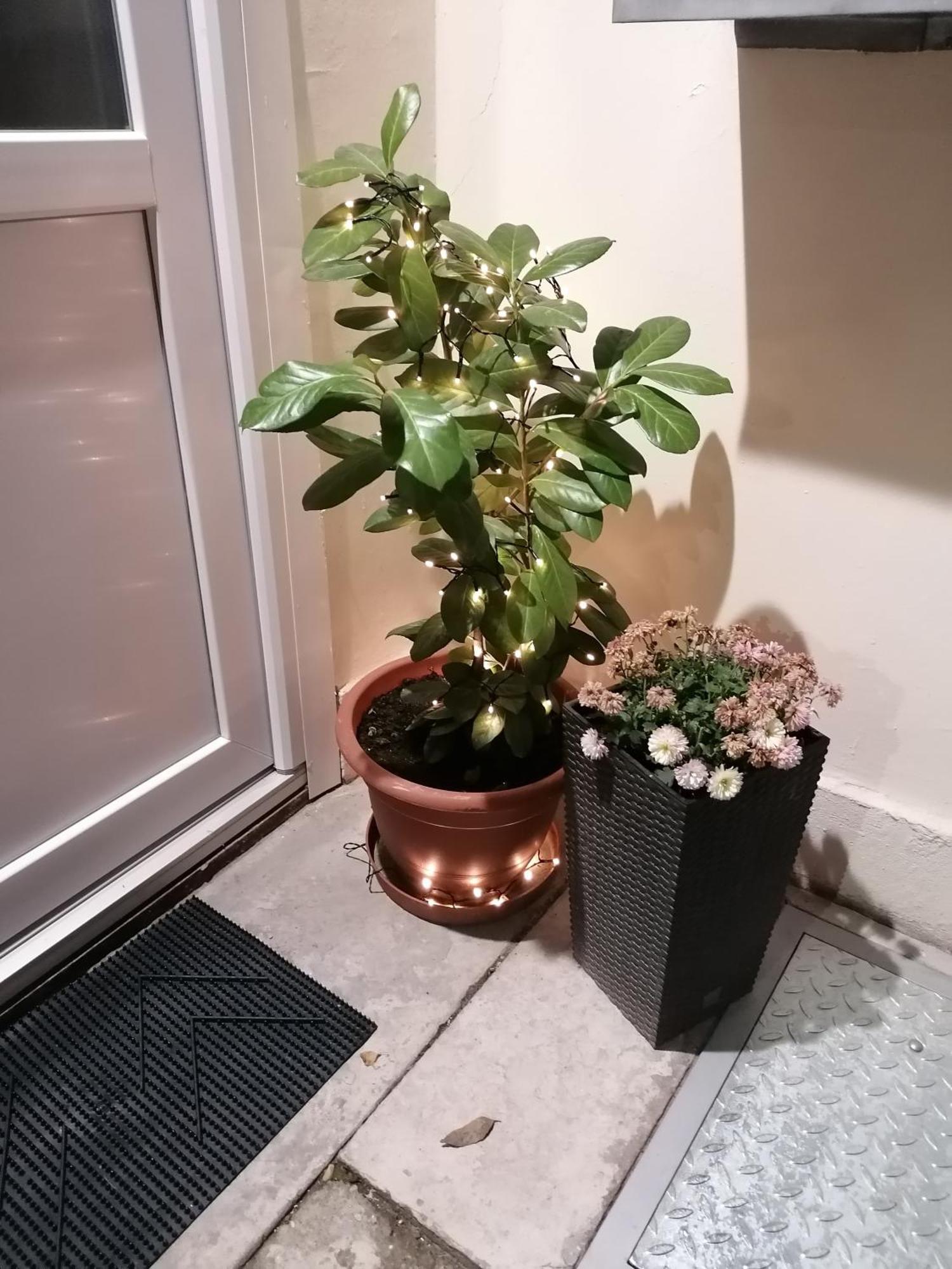 Mohacs Korona Apartman Exterior foto
